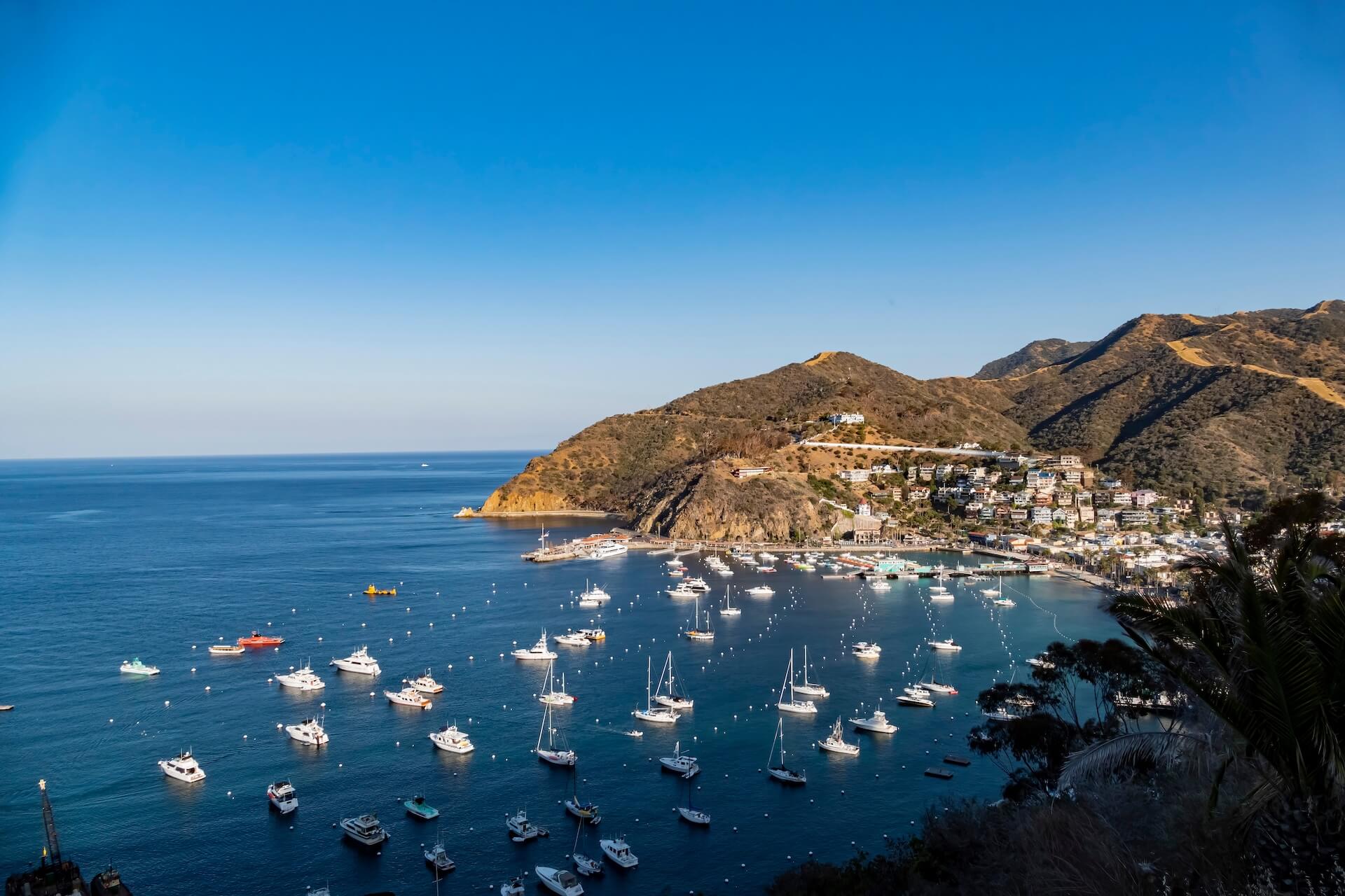 Catalina Island coastline with boats anchored in clear blue water.